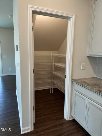 a view of walk in closet with wooden floor