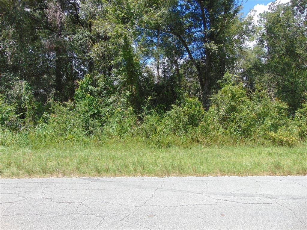 a view of backyard with green space