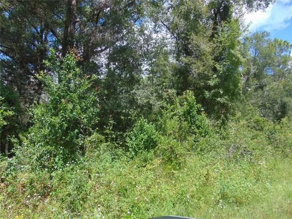$29,500 | 4766 Southwest 125th Road, Webster, FL 33597