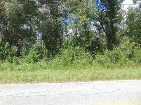 $29,500 | 4766 Southwest 125th Road, Webster, FL 33597