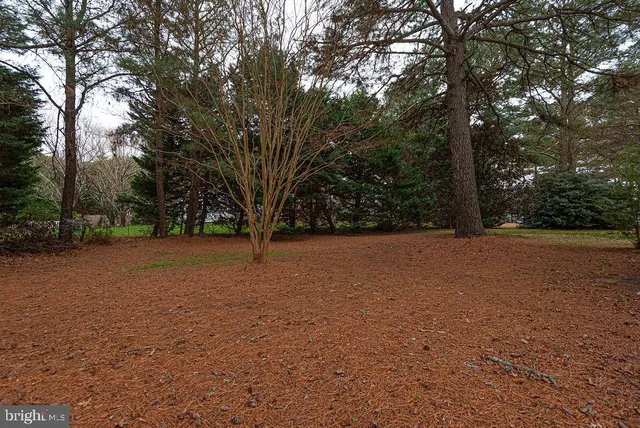 $735,900 | 10641 Piney Island Drive, Bishopville, MD 21813