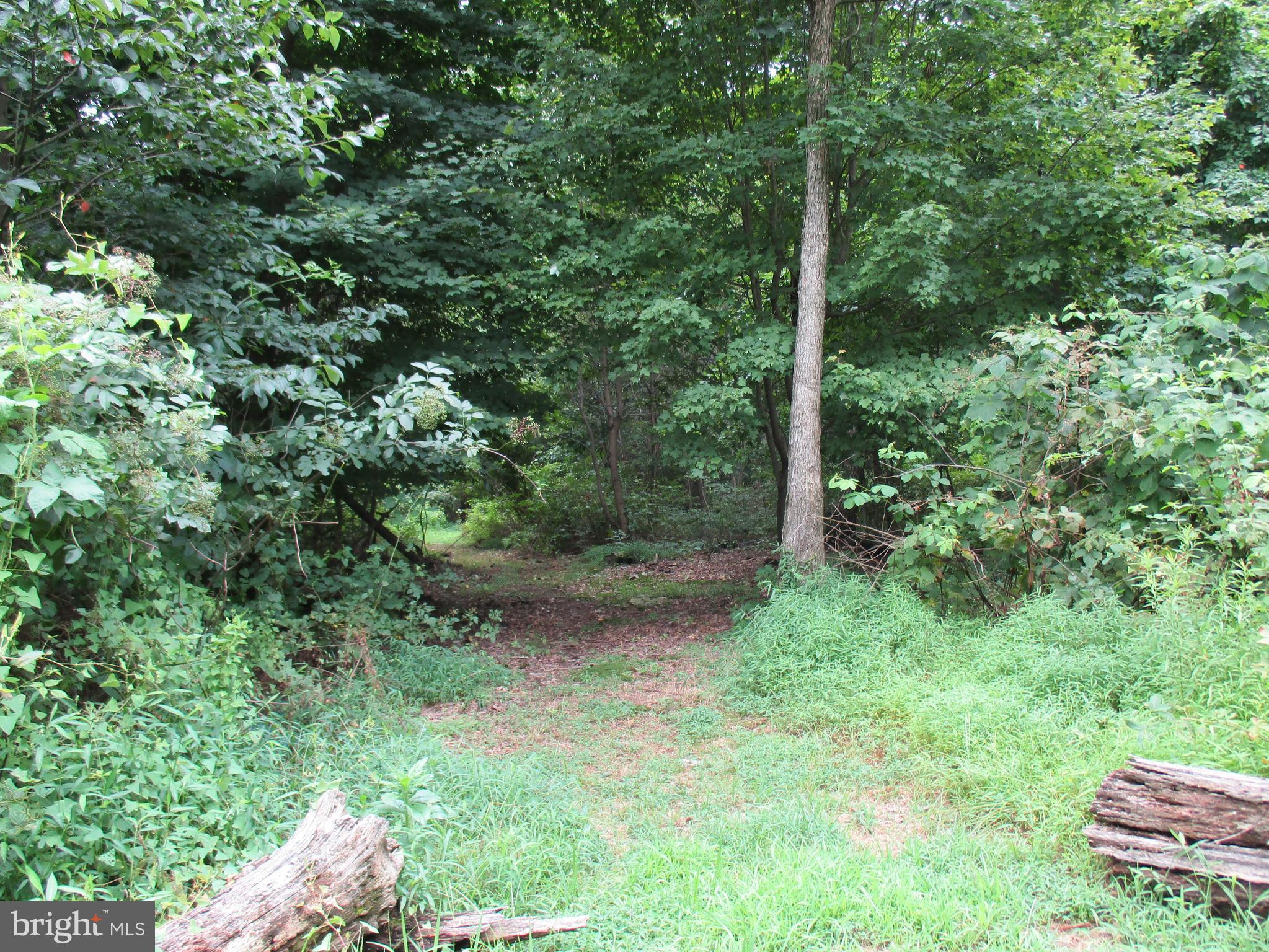 0 Orchard Road Spring Grove, PA 17362 - Photo 12 of 16