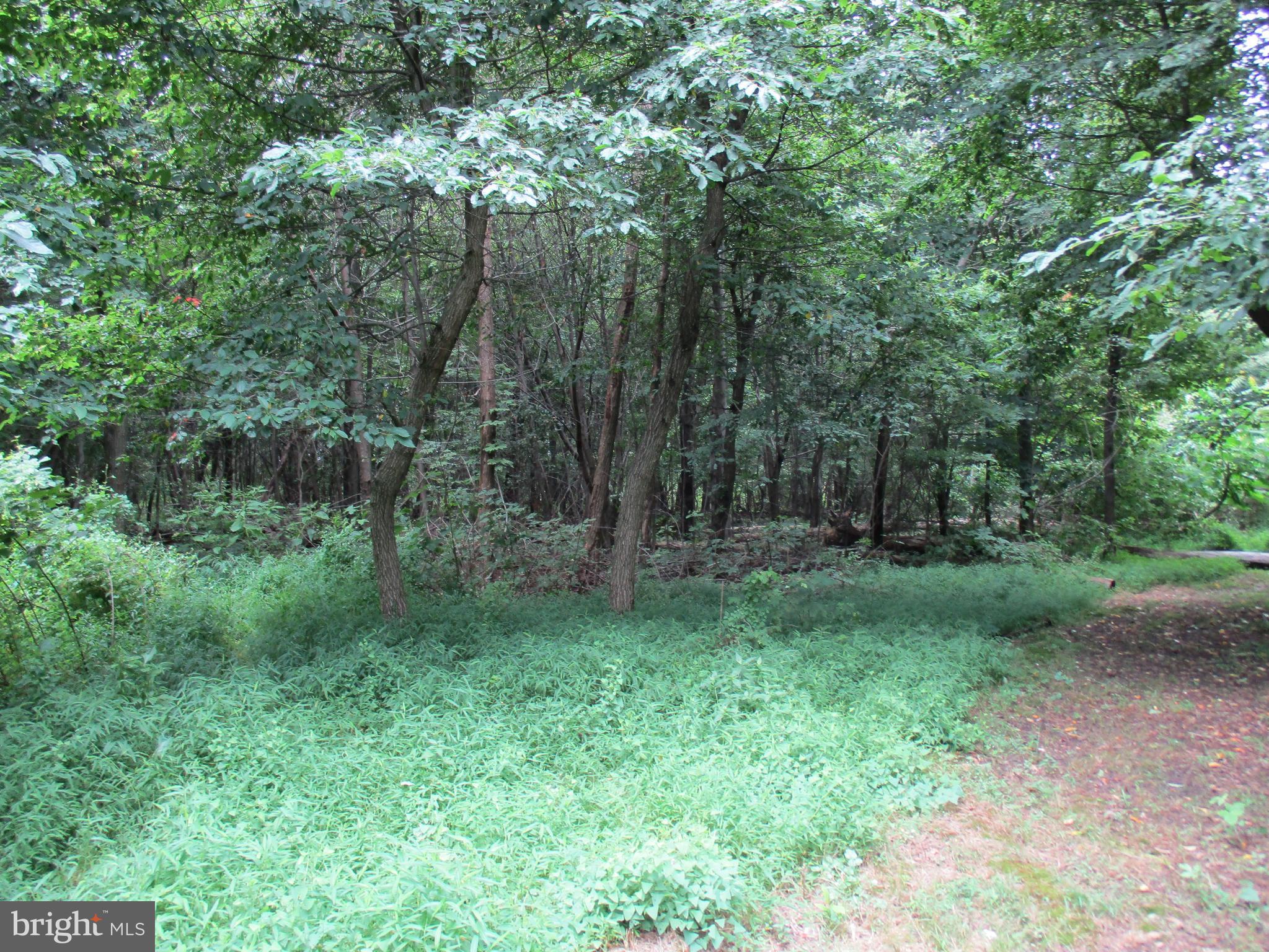 0 Orchard Road Spring Grove, PA 17362 - Photo 13 of 16