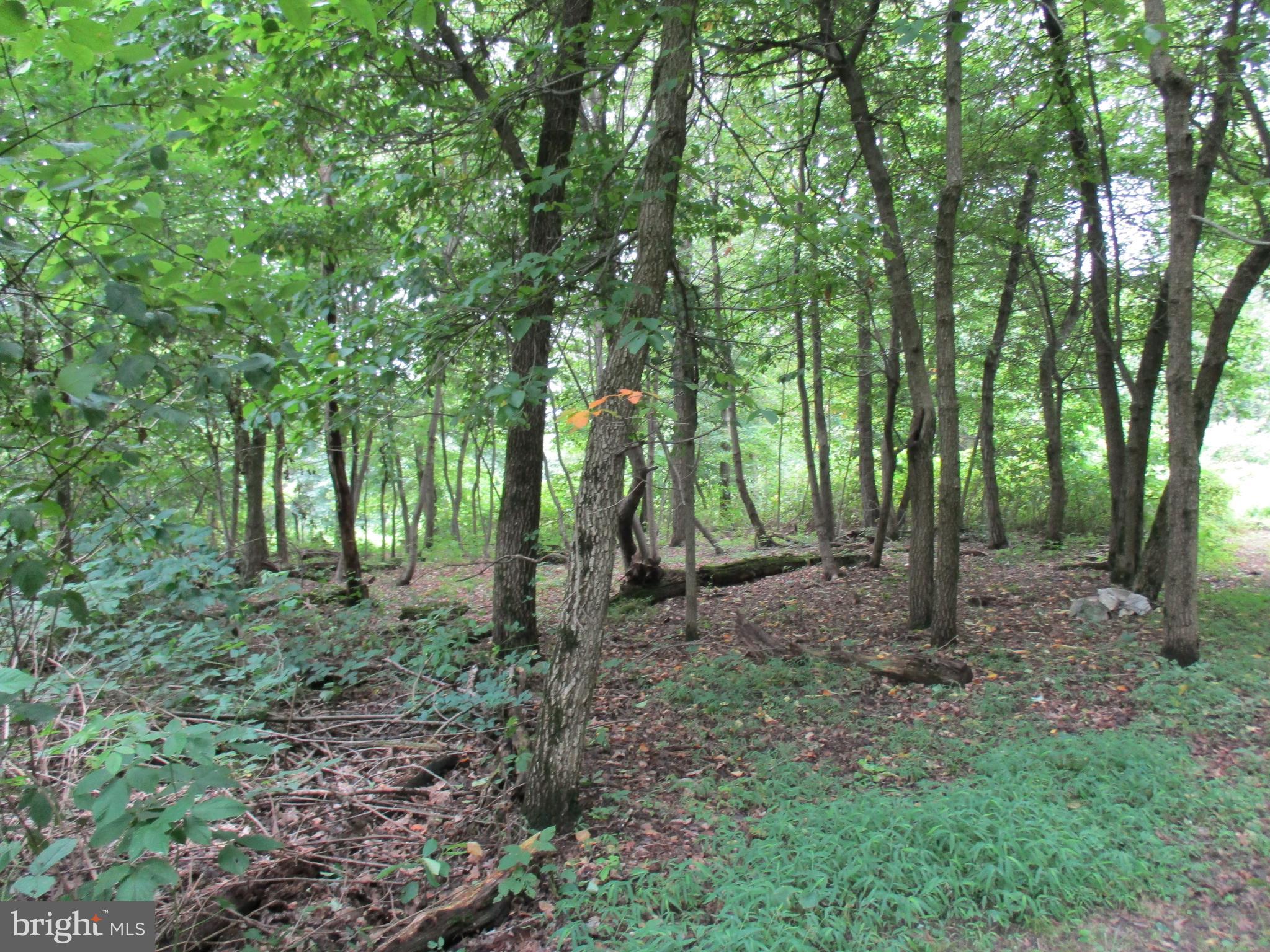 0 Orchard Road Spring Grove, PA 17362 - Photo 14 of 16