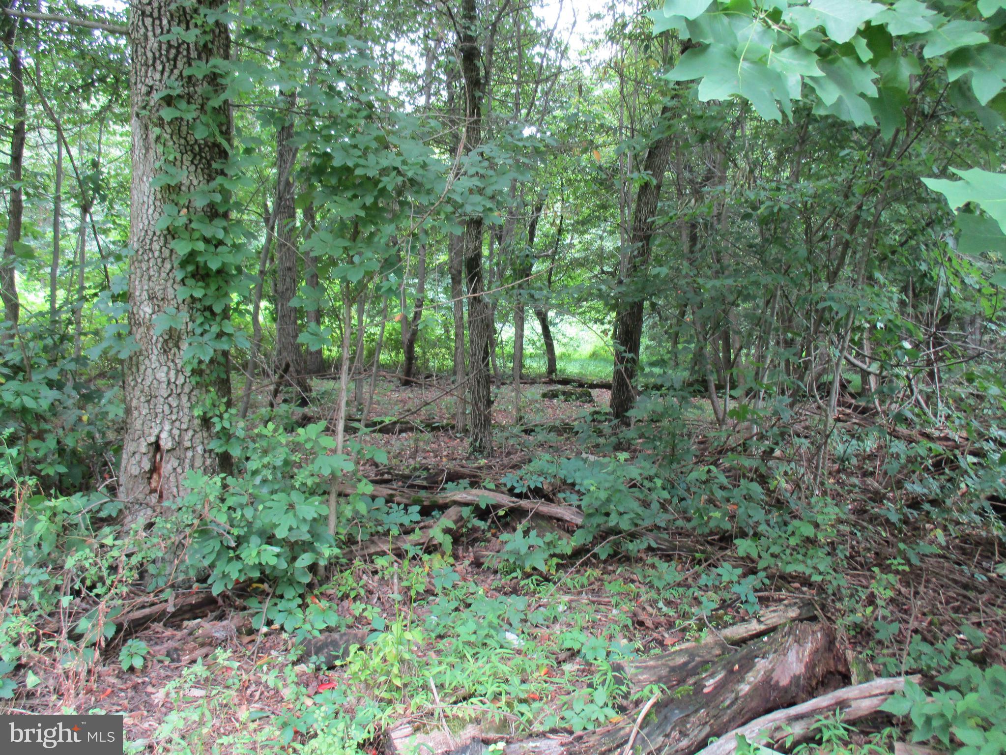 0 Orchard Road Spring Grove, PA 17362 - Photo 8 of 16