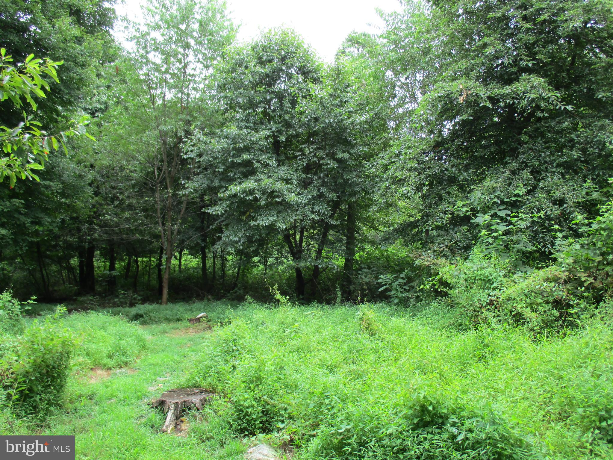 0 Orchard Road Spring Grove, PA 17362 - Photo 10 of 16