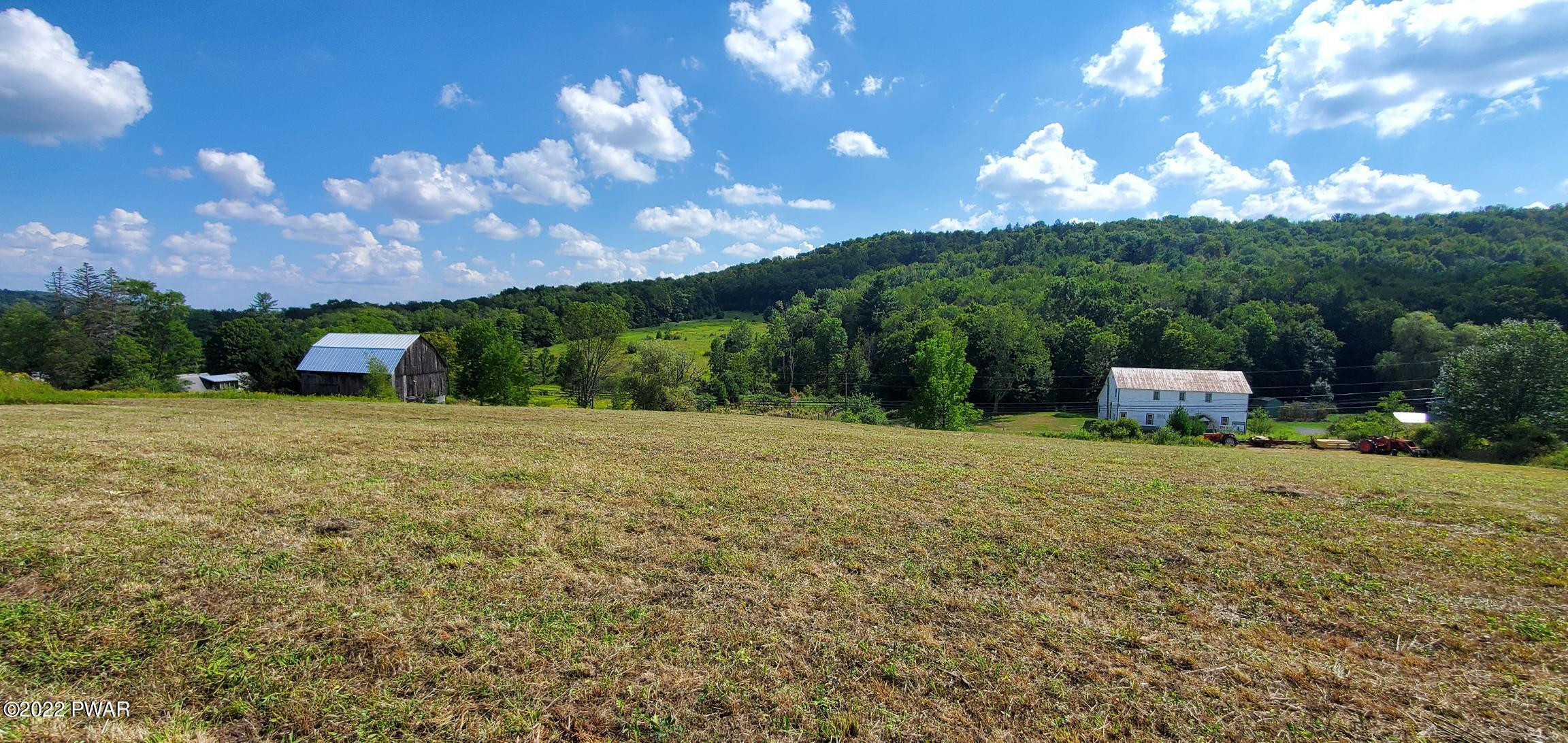 573 Galilee Road Damascus, PA 18415 - Photo 6 of 8 20220829_142859
