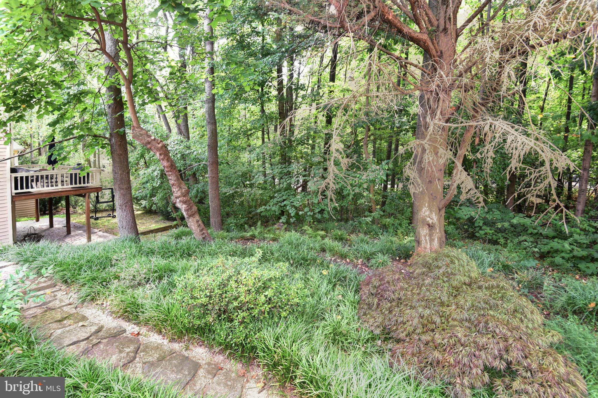 11571 Hemingway Drive Reston, VA 20194 - Photo 24 of 41