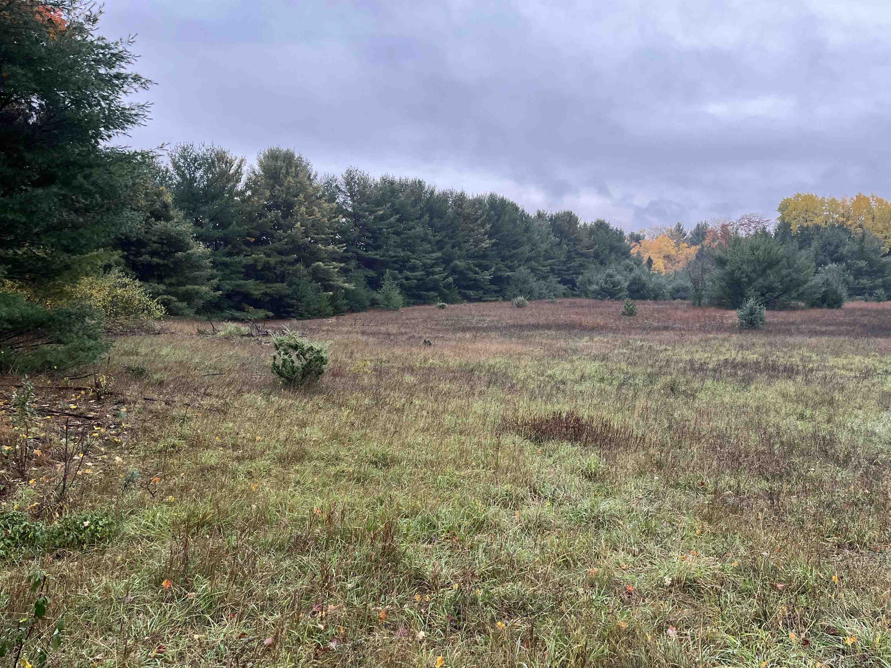 8308 West Elder Road Alden, MI 49612 - Photo 7 of 7 1917126-6.JPG