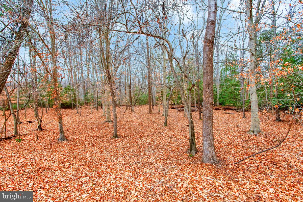2775 Scientists Cliffs Road Port Republic, MD 20676 - Photo 46 of 54 a view of road and trees
