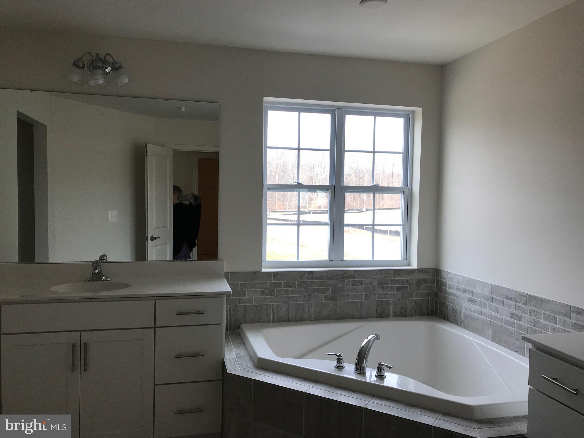 4103 Ethan Manor Road Clinton, MD 20735 - Photo 3 of 4 a bathroom with a bathtub and a sink