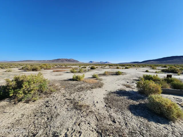 a view of a yard with wooden floor