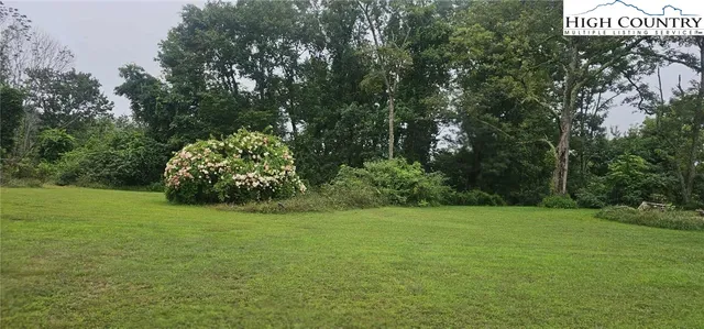 a view of a green field with trees in the background