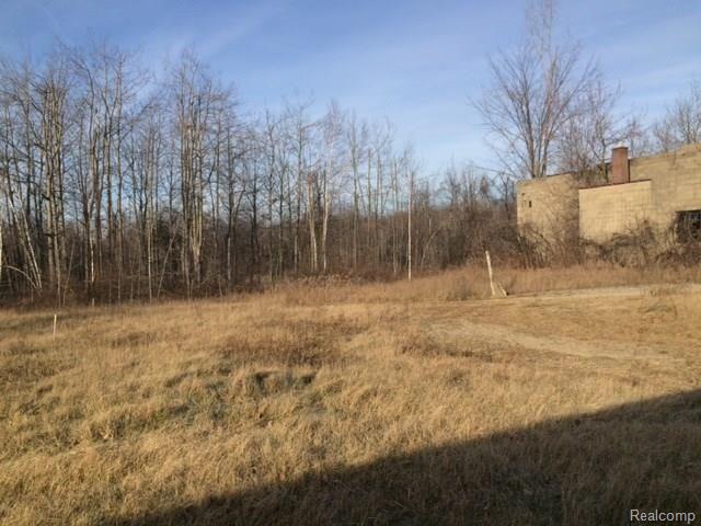 9747 Page Road Marlette, MI 48453 - Photo 28 of 29 262-165773 yard 3.jpg