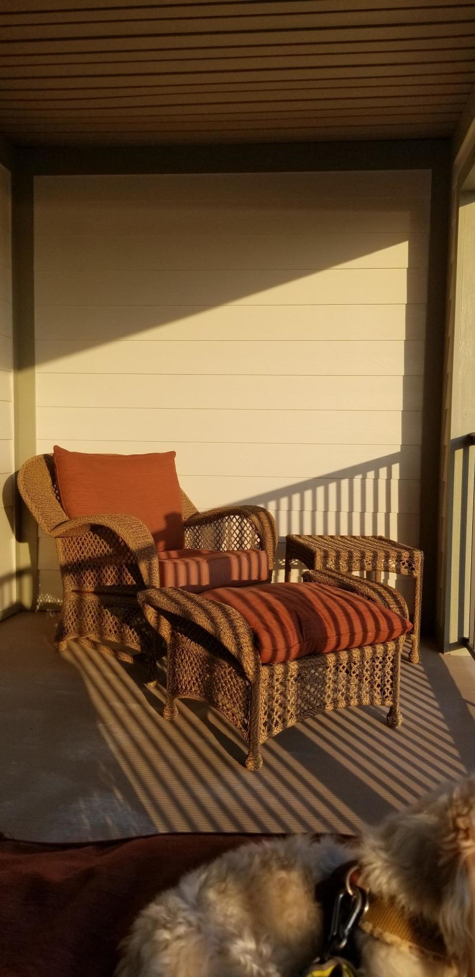1255 New Lake Road, Unit 23 Spring City, TN 37381 - Photo 8 of 19 Balcony