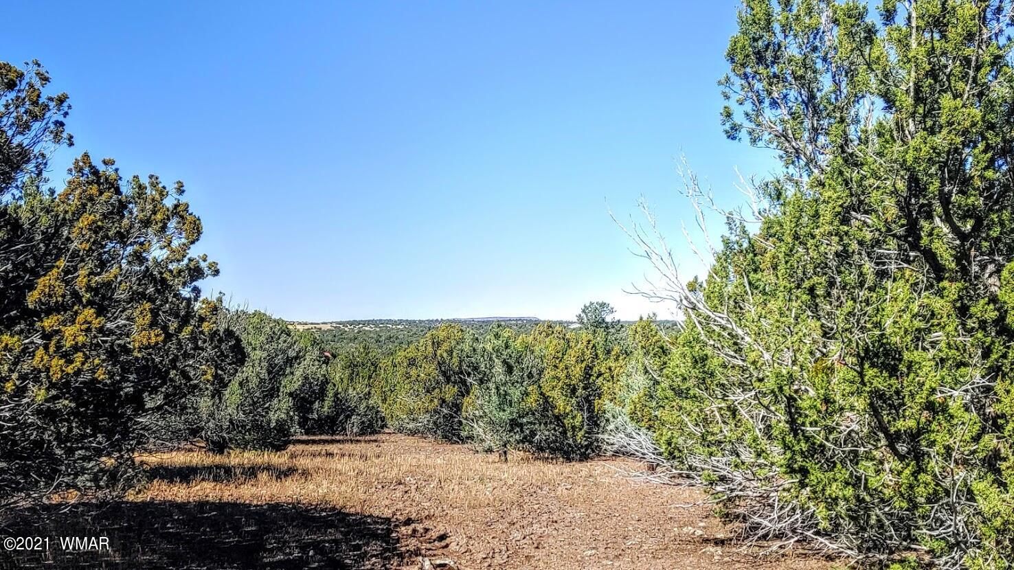 Tbd Tbd Sec33 T11n R24e Sw4 Se4 Concho, AZ 85924 - Photo 11 of 23