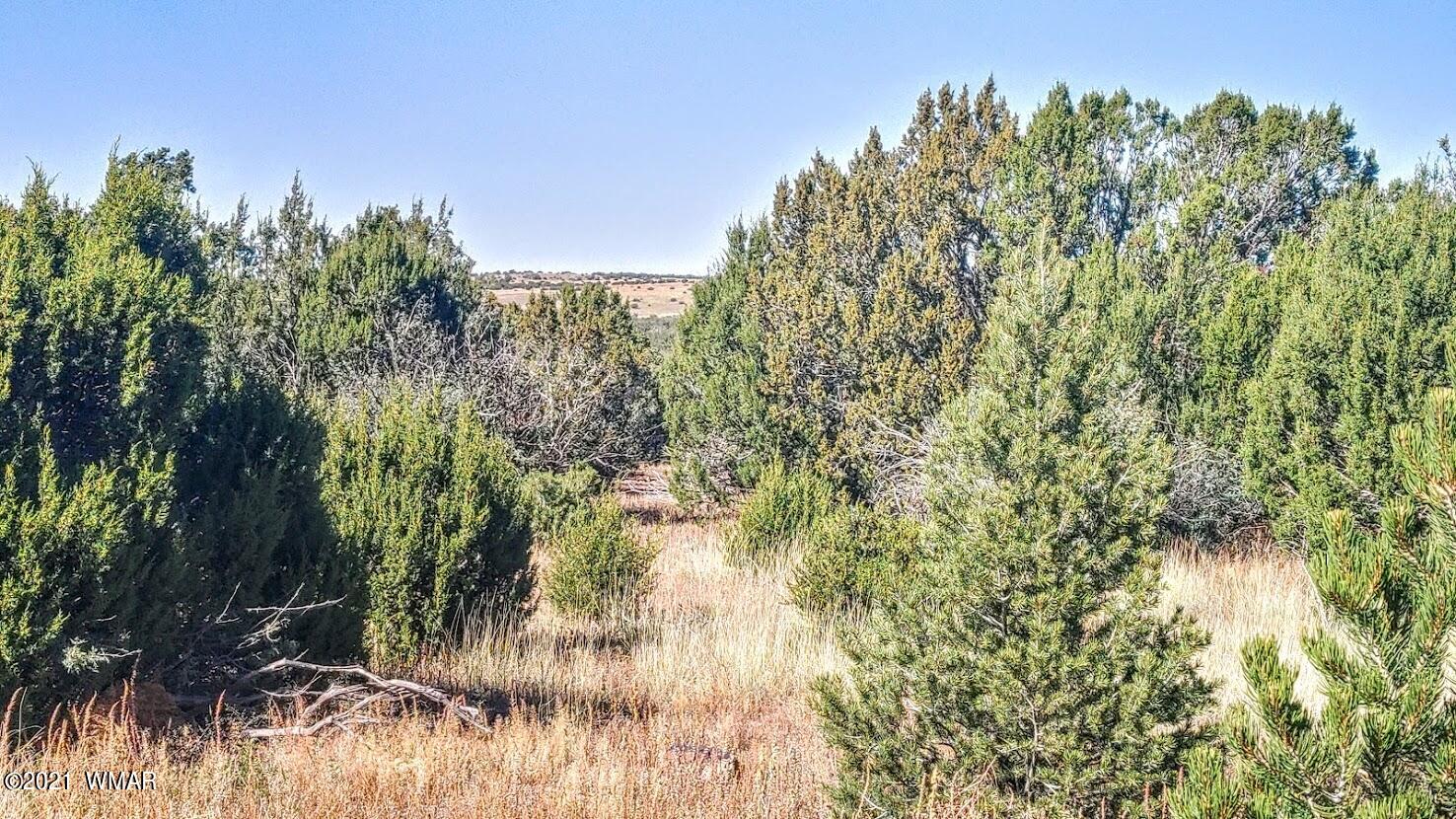 Tbd Tbd Sec33 T11n R24e Sw4 Se4 Concho, AZ 85924 - Photo 12 of 23