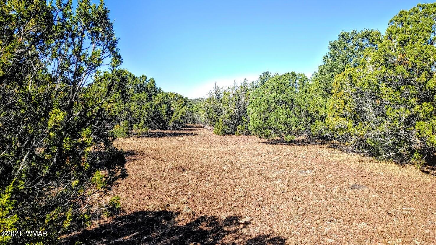 Tbd Tbd Sec33 T11n R24e Sw4 Se4 Concho, AZ 85924 - Photo 13 of 23