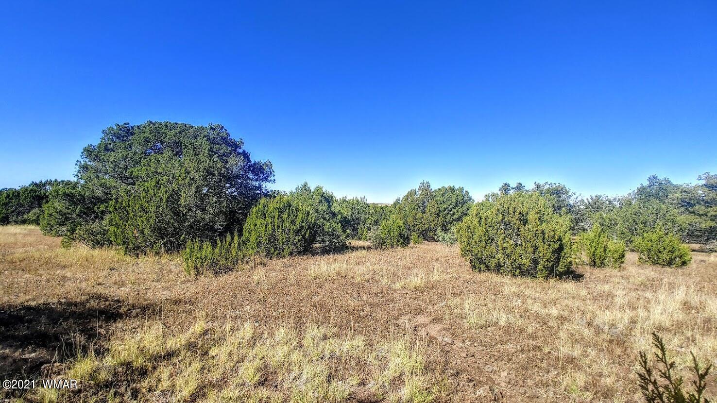 Tbd Tbd Sec33 T11n R24e Sw4 Se4 Concho, AZ 85924 - Photo 14 of 23