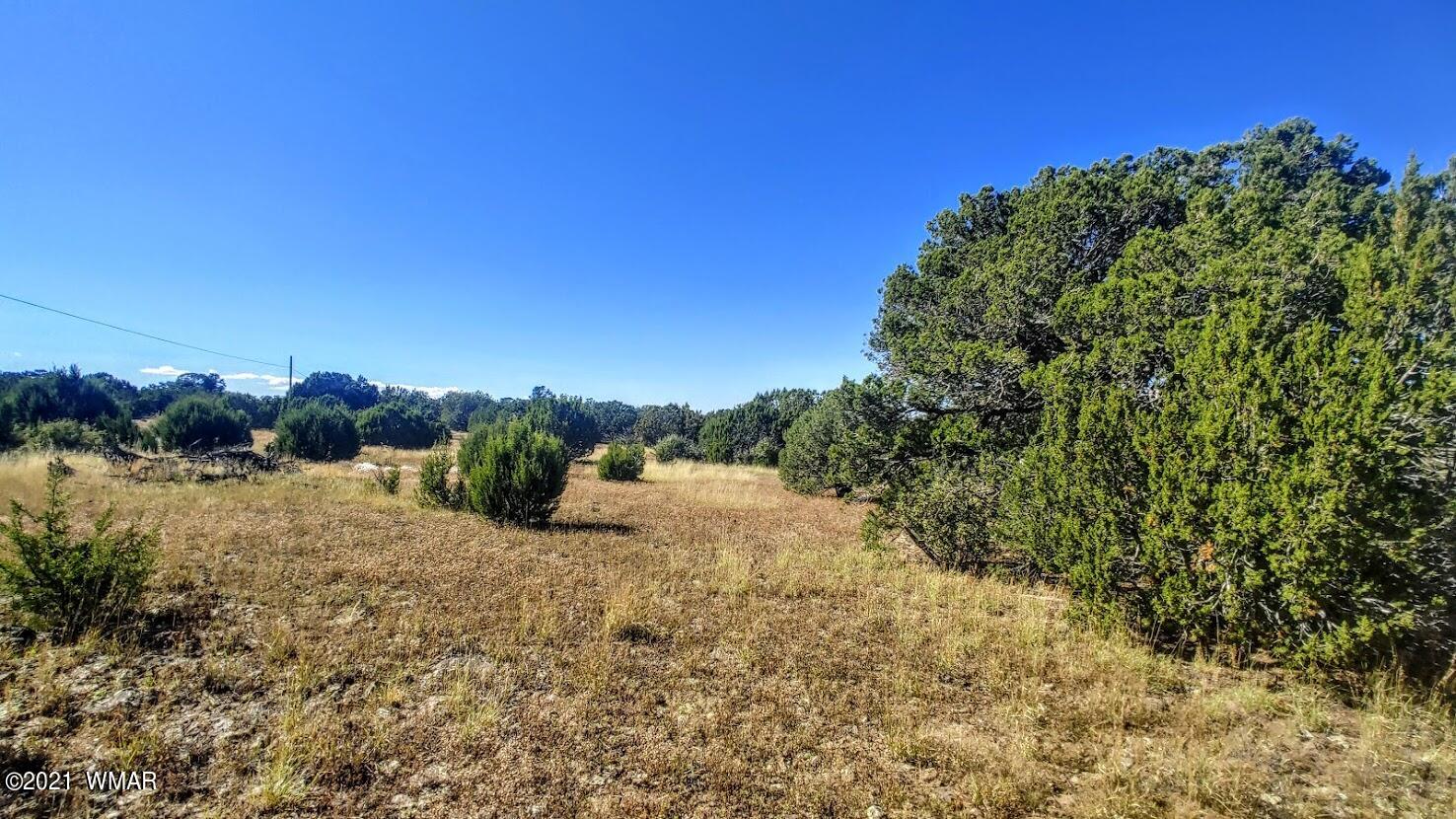 Tbd Tbd Sec33 T11n R24e Sw4 Se4 Concho, AZ 85924 - Photo 15 of 23
