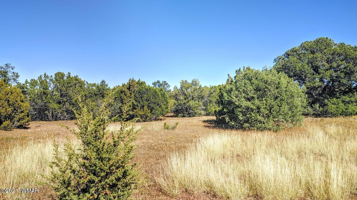 Tbd Tbd Sec33 T11n R24e Sw4 Se4 Concho, AZ 85924 - Photo 16 of 23