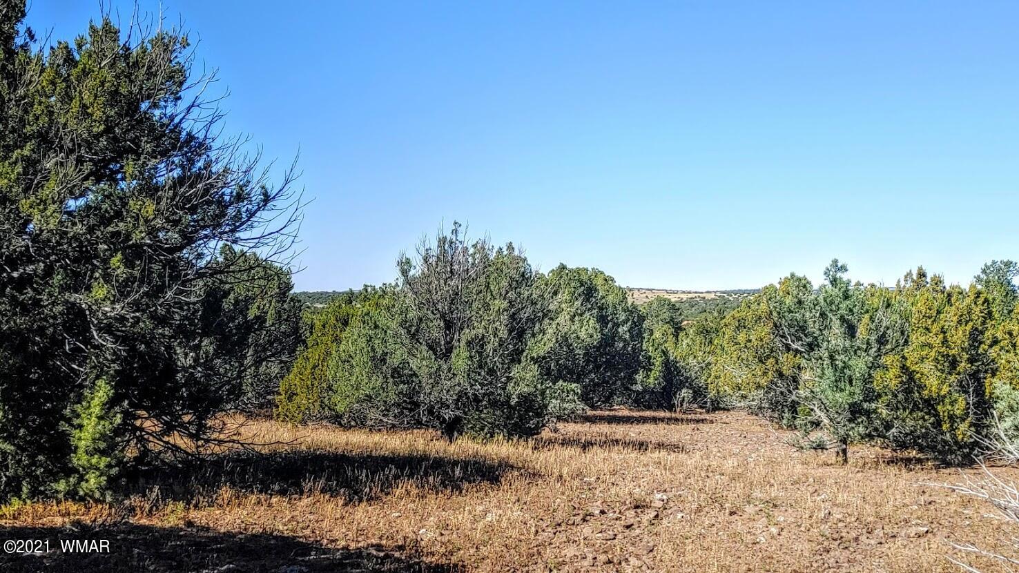 Tbd Tbd Sec33 T11n R24e Sw4 Se4 Concho, AZ 85924 - Photo 17 of 23