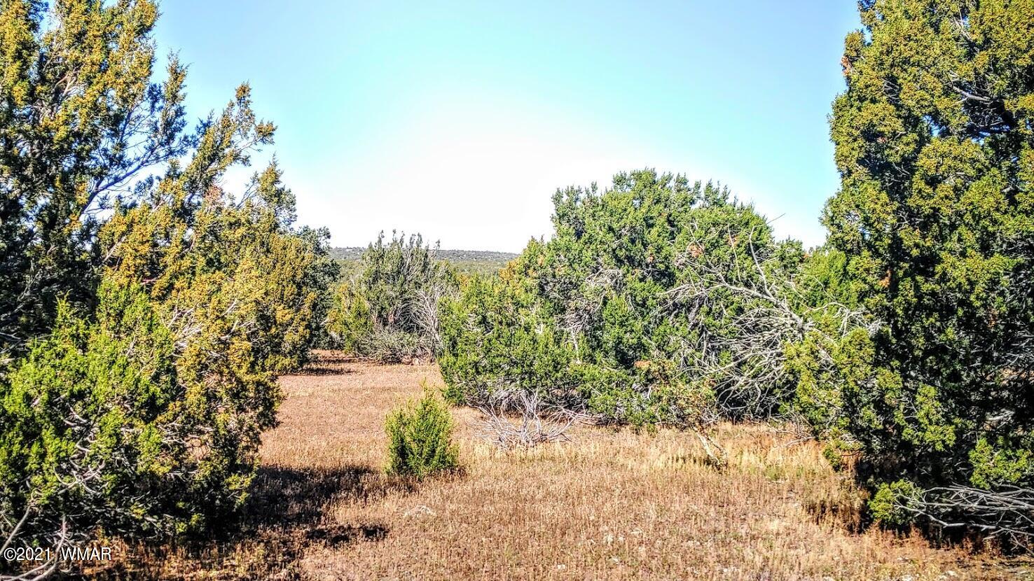 Tbd Tbd Sec33 T11n R24e Sw4 Se4 Concho, AZ 85924 - Photo 18 of 23