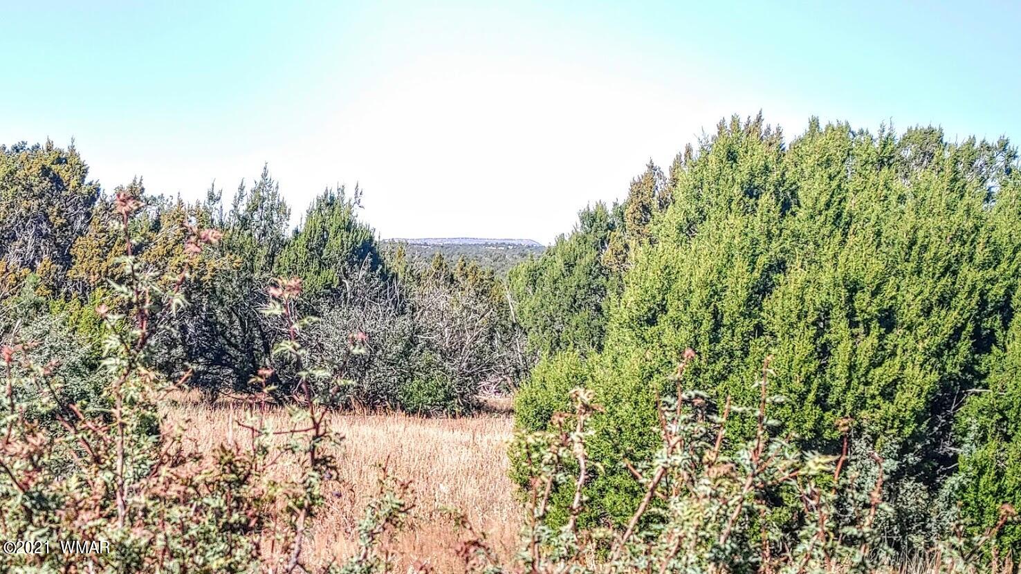 Tbd Tbd Sec33 T11n R24e Sw4 Se4 Concho, AZ 85924 - Photo 19 of 23