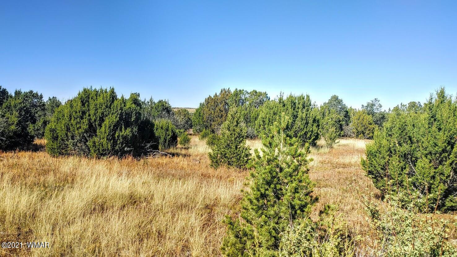 Tbd Tbd Sec33 T11n R24e Sw4 Se4 Concho, AZ 85924 - Photo 20 of 23
