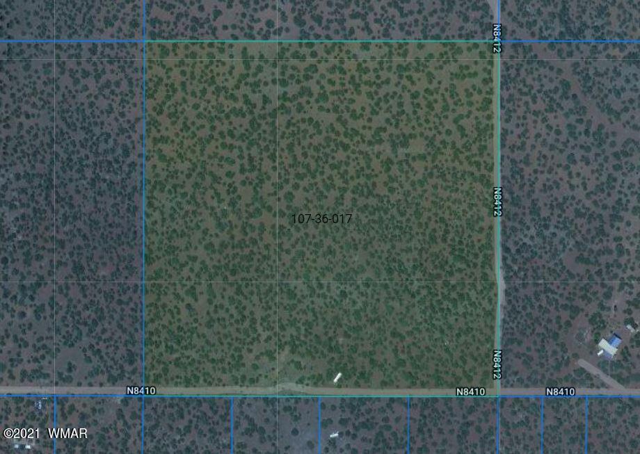 Tbd Tbd Sec33 T11n R24e Sw4 Se4 Concho, AZ 85924 - Photo 2 of 23