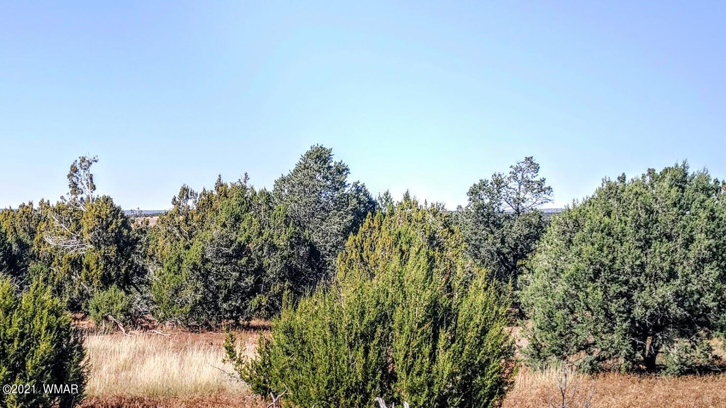 Tbd Tbd Sec33 T11n R24e Sw4 Se4 Concho, AZ 85924 - Photo 21 of 23