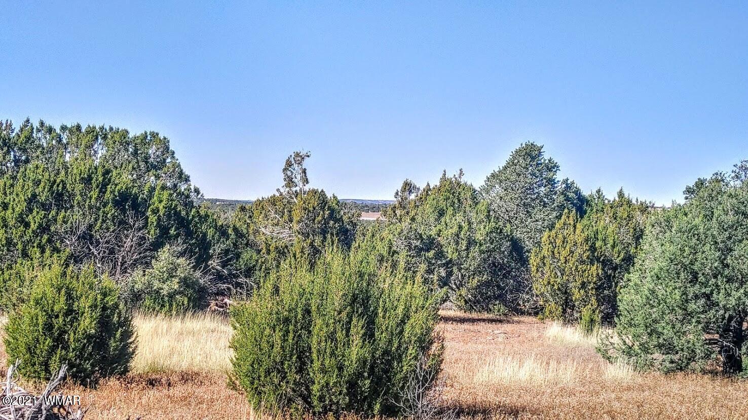 Tbd Tbd Sec33 T11n R24e Sw4 Se4 Concho, AZ 85924 - Photo 22 of 23