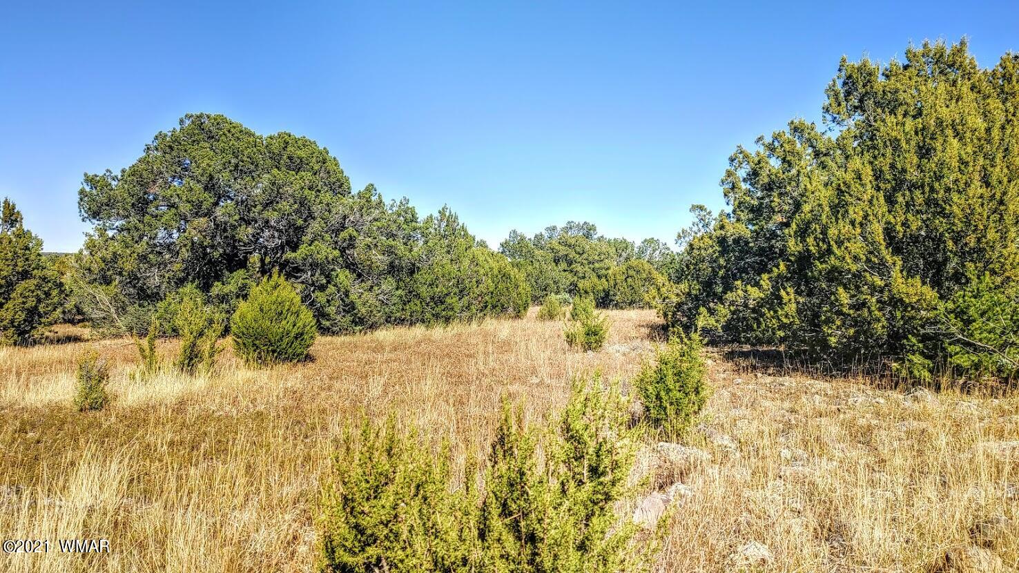 Tbd Tbd Sec33 T11n R24e Sw4 Se4 Concho, AZ 85924 - Photo 23 of 23
