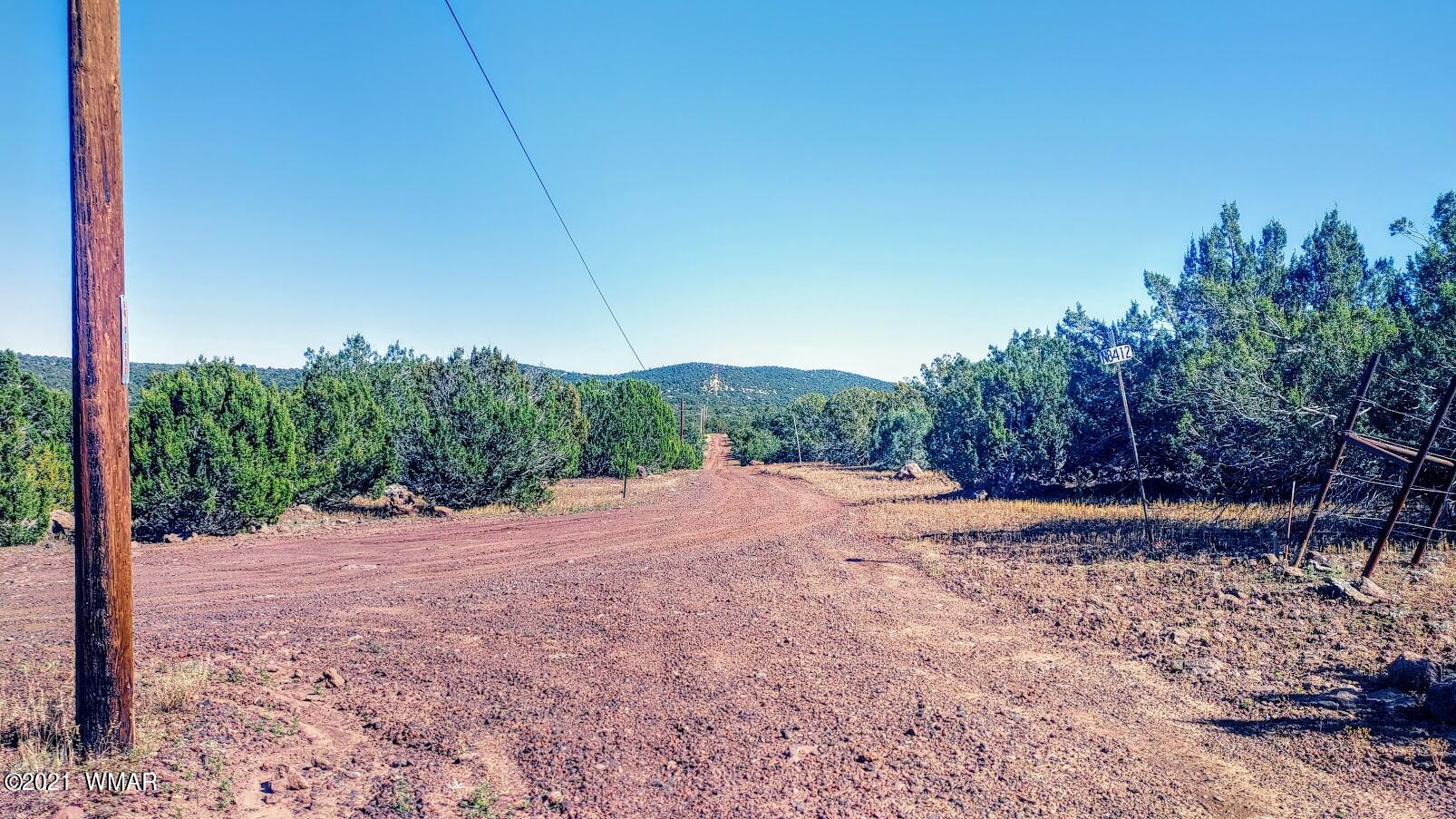 Tbd Tbd Sec33 T11n R24e Sw4 Se4 Concho, AZ 85924 - Photo 3 of 23
