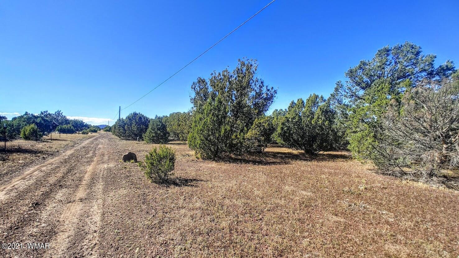 Tbd Tbd Sec33 T11n R24e Sw4 Se4 Concho, AZ 85924 - Photo 4 of 23