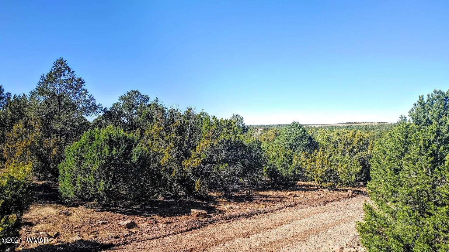Tbd Tbd Sec33 T11n R24e Sw4 Se4 Concho, AZ 85924 - Photo 5 of 23
