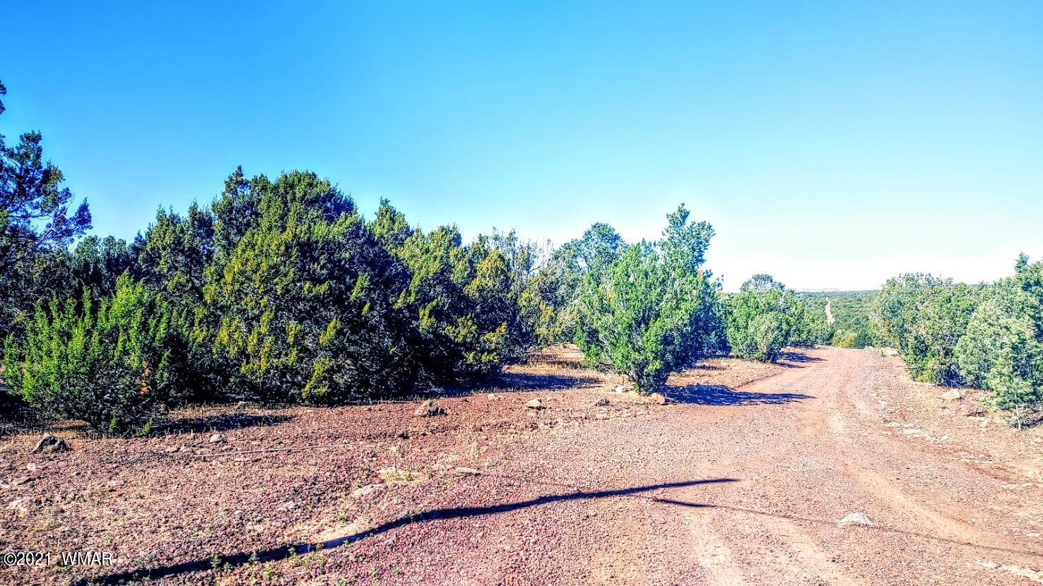 Tbd Tbd Sec33 T11n R24e Sw4 Se4 Concho, AZ 85924 - Photo 6 of 23