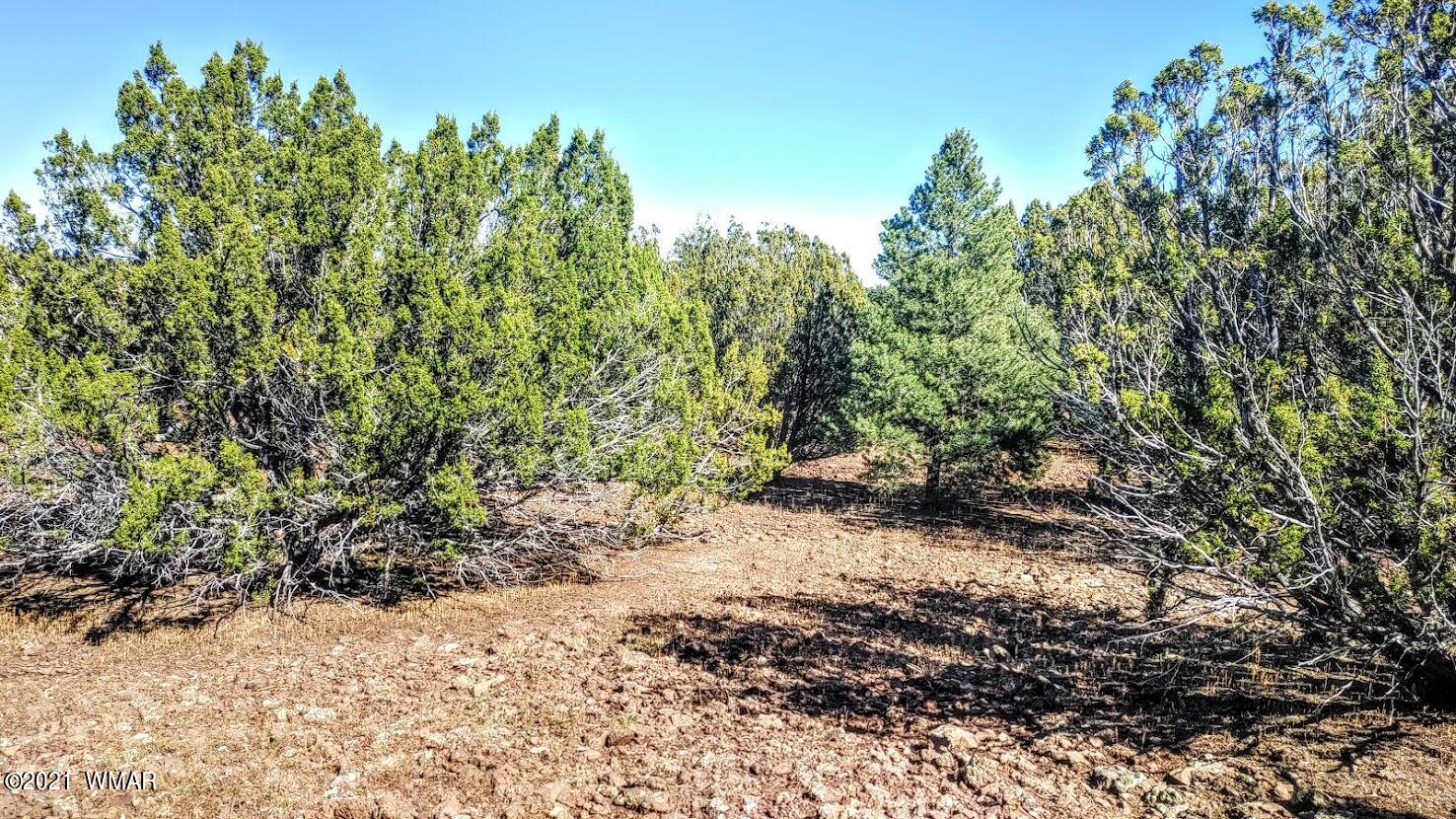 Tbd Tbd Sec33 T11n R24e Sw4 Se4 Concho, AZ 85924 - Photo 7 of 23