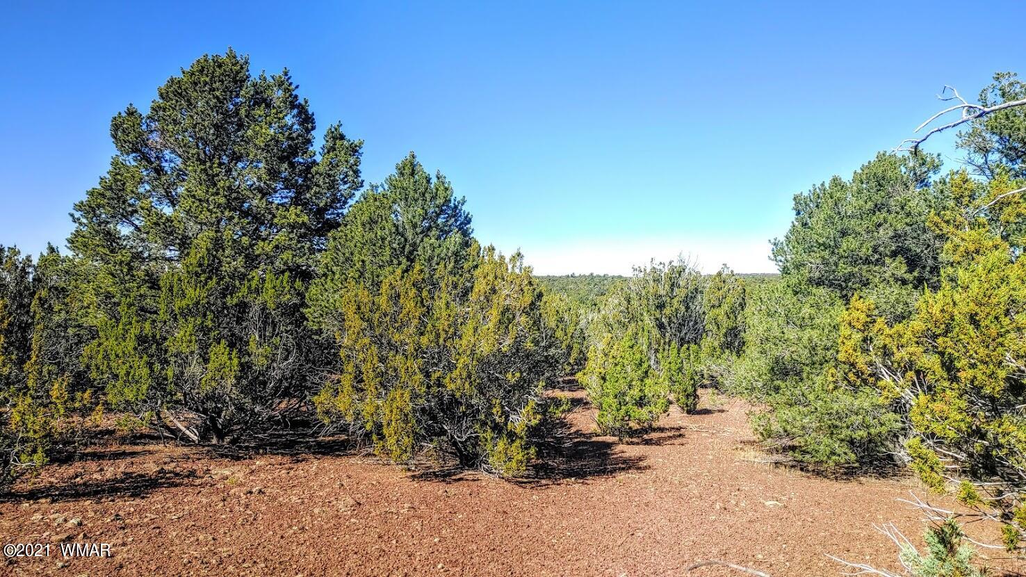 Tbd Tbd Sec33 T11n R24e Sw4 Se4 Concho, AZ 85924 - Photo 8 of 23