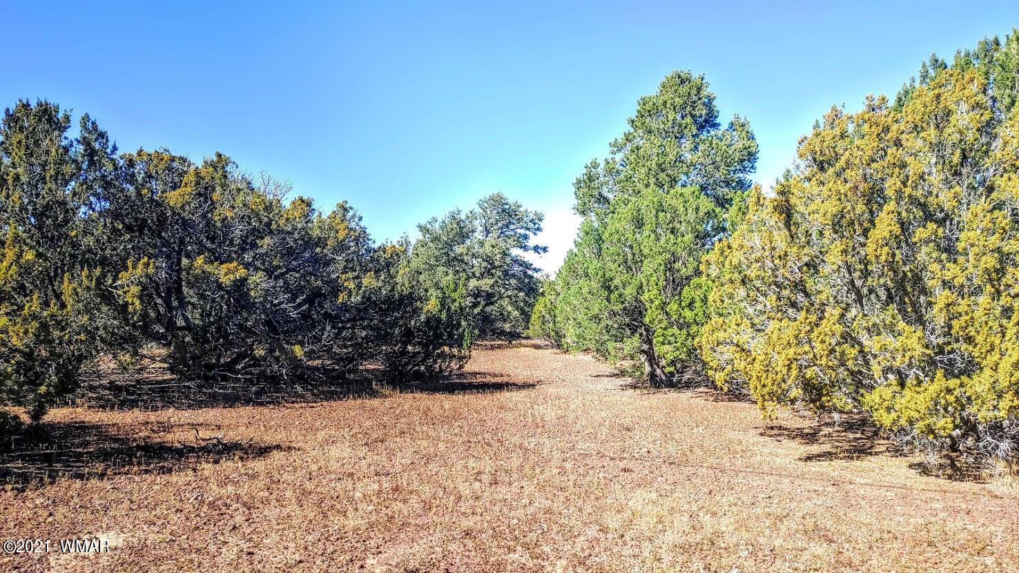 Tbd Tbd Sec33 T11n R24e Sw4 Se4 Concho, AZ 85924 - Photo 10 of 23