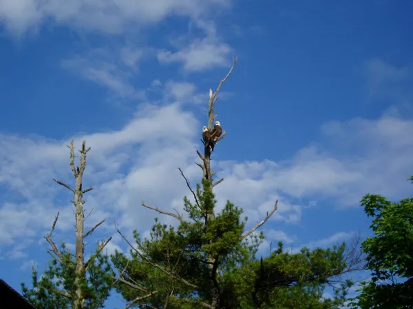 $2,750,000 | 5568 50th Street Northwest, Hackensack, MN 56452