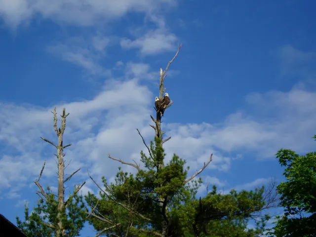 $2,750,000 | 5568 50th Street Northwest, Hackensack, MN 56452