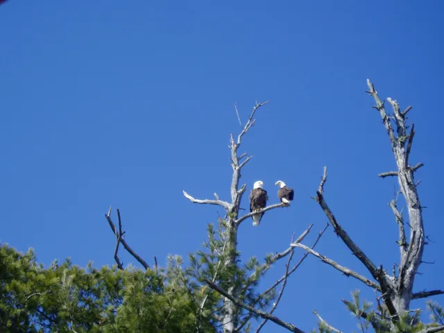 $2,750,000 | 5568 50th Street Northwest, Hackensack, MN 56452