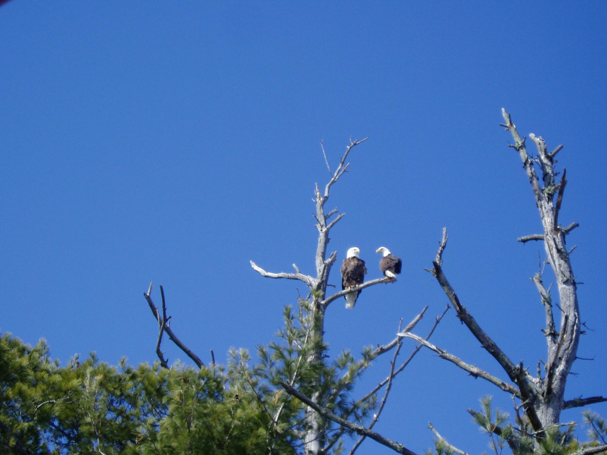 5568 50th Street Northwest Hackensack, MN 56452 - Photo 89 of 92