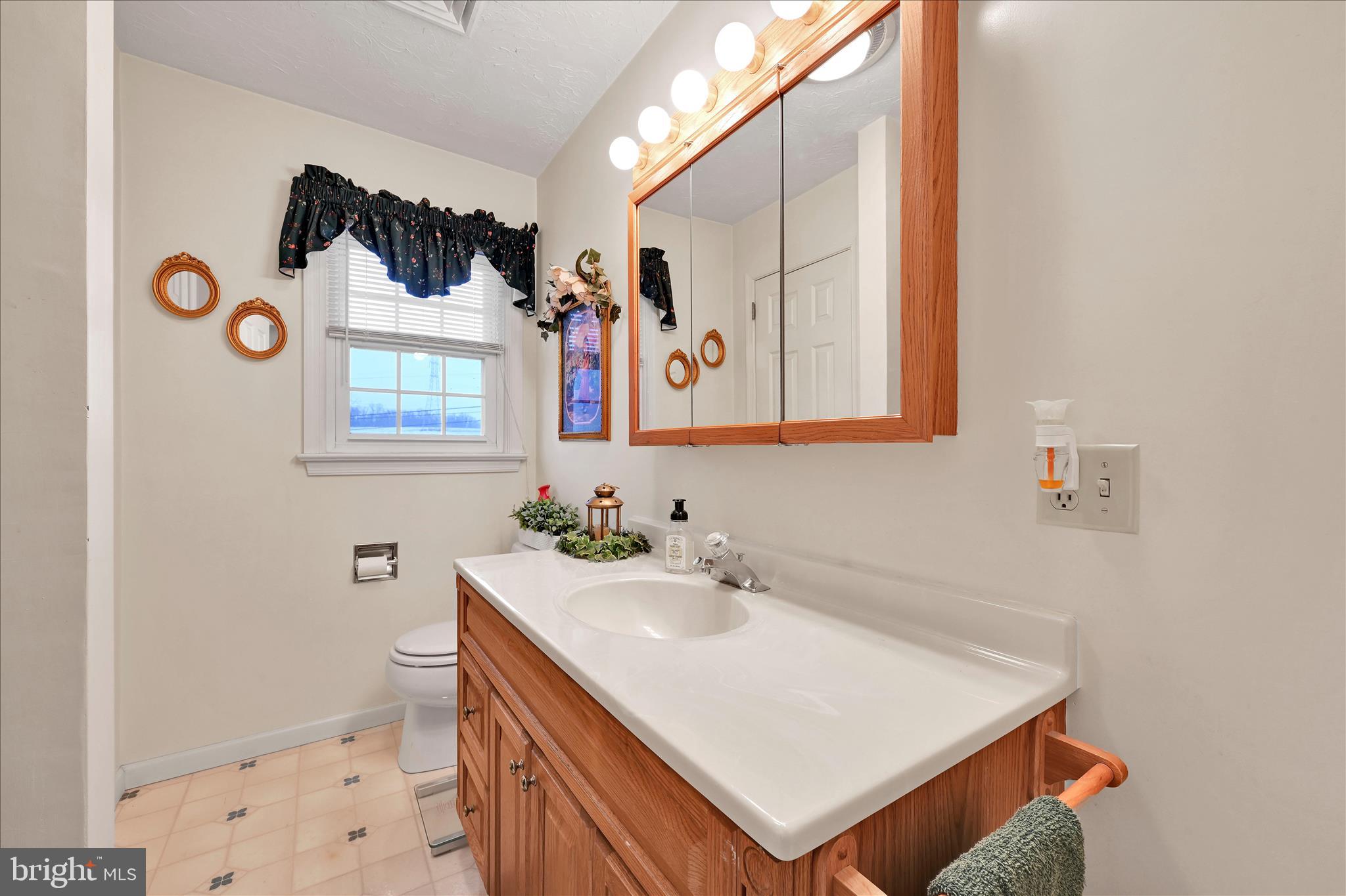61 West Rosebud Road Myerstown, PA 17067 - Photo 30 of 58 a bathroom with a sink mirror and vanity