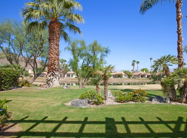 a view of a garden with a building in the background