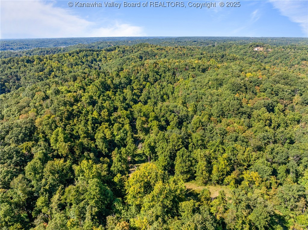 900 Rabbit Jarrell Hollow Road Lesage, WV 25537 - Photo 14 of 32 Gallery Image 14
