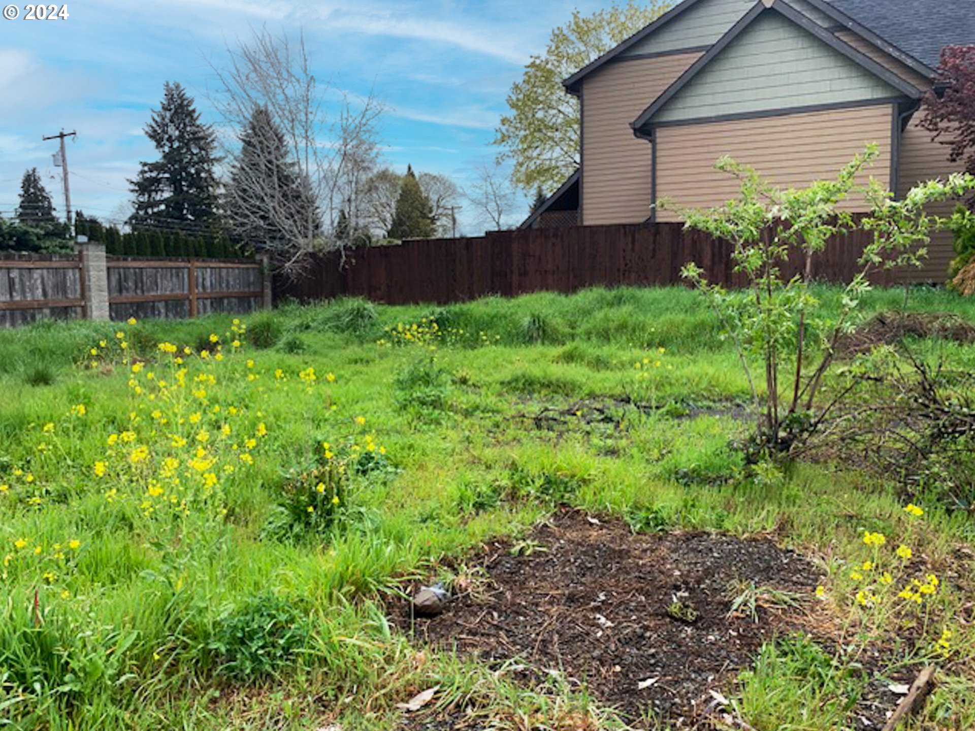 1742 Brandy Way, Unit 8 Springfield, OR 97477 - Photo 1 of 6 a view of a house with a yard and plants