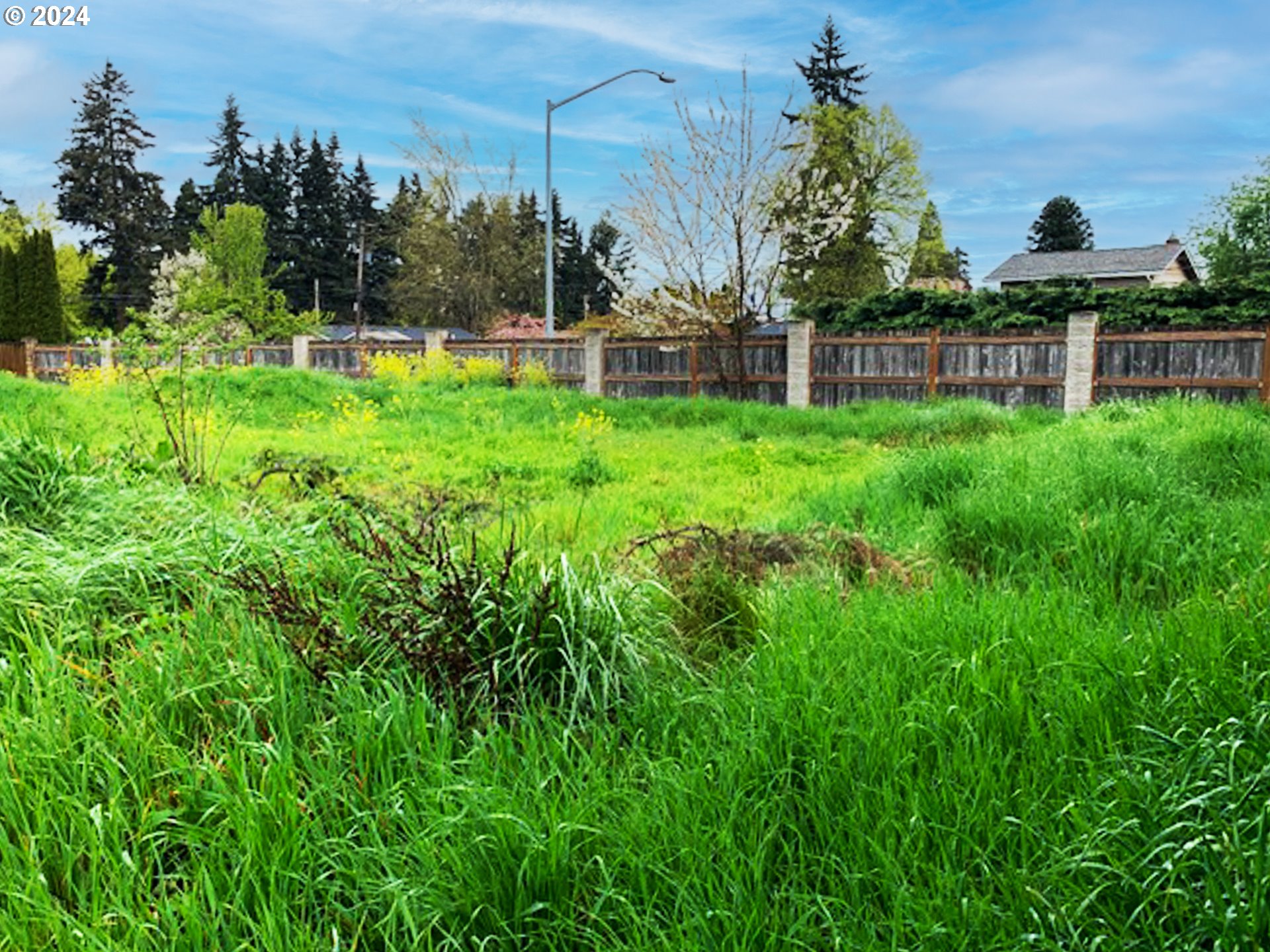 1742 Brandy Way, Unit 8 Springfield, OR 97477 - Photo 3 of 6 a view of a yard with a house in the background