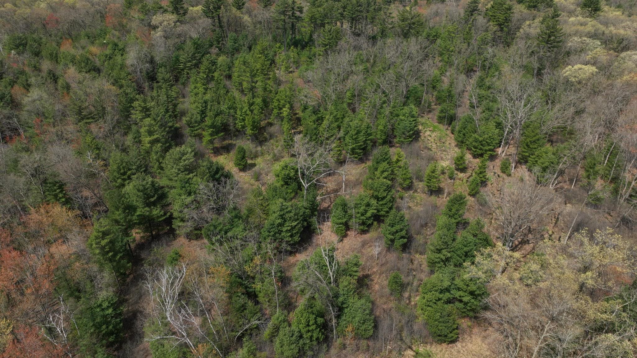 Lot 4 Grayling Tomah, WI 54660 - Photo 13 of 50